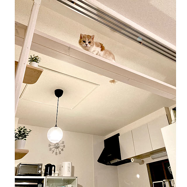 H.Tさんの実例写真