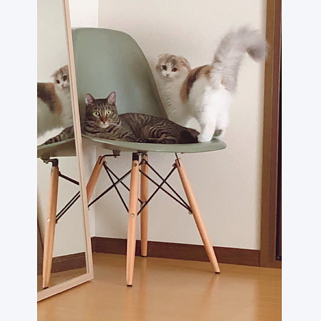 anさんの実例写真