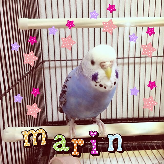 rieさんの実例写真