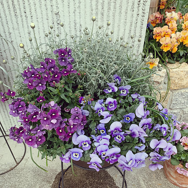 AINIさんの部屋