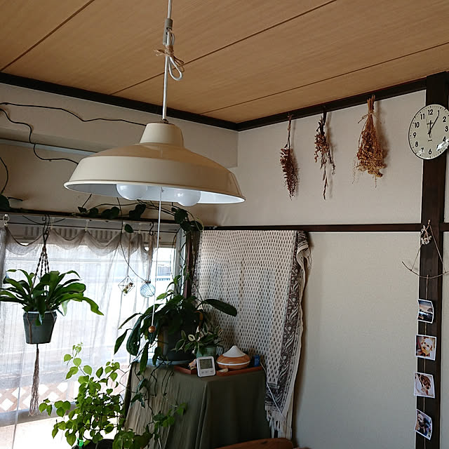 kanonさんの実例写真