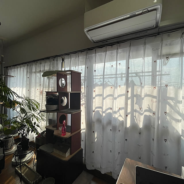 nekohagu2022さんの実例写真