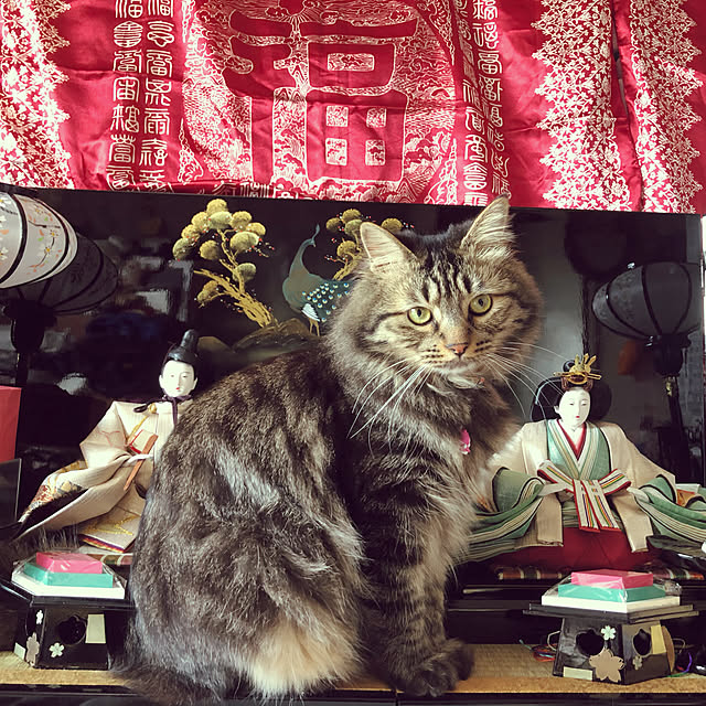 bosaさんの実例写真