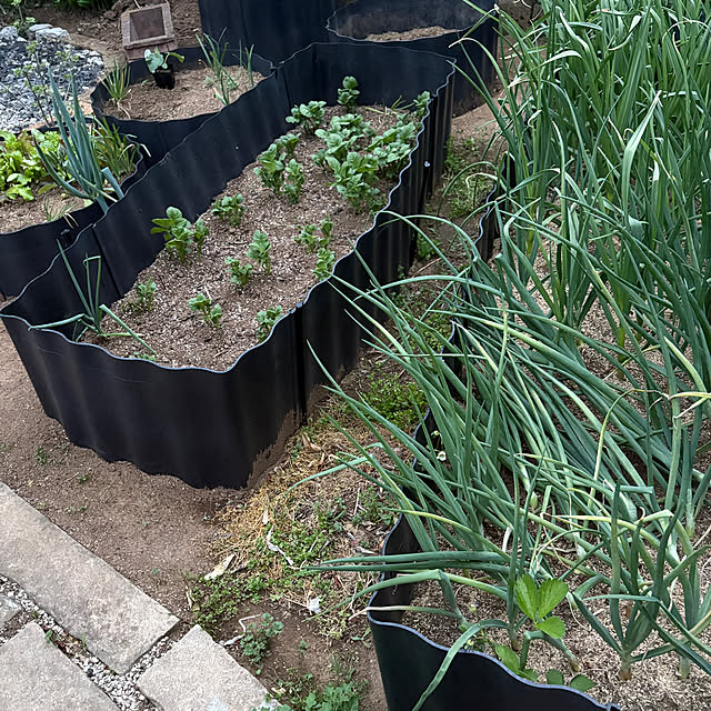 yunroomさんの実例写真