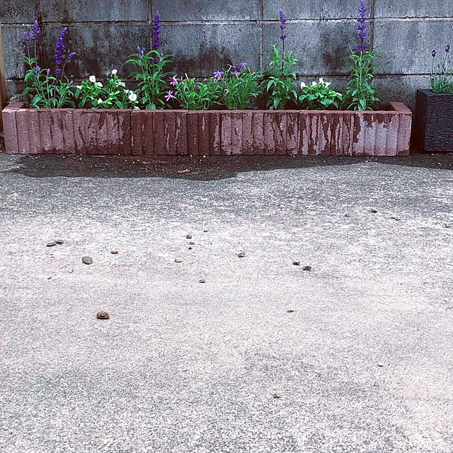 chacoさんの実例写真