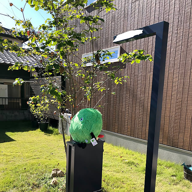 edamameさんの実例写真