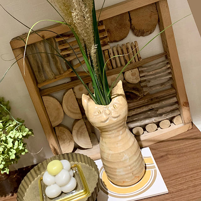 megaphonic0510さんの部屋