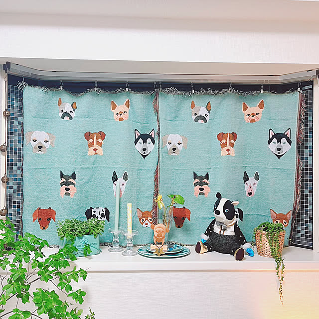 Gamjaさんの部屋