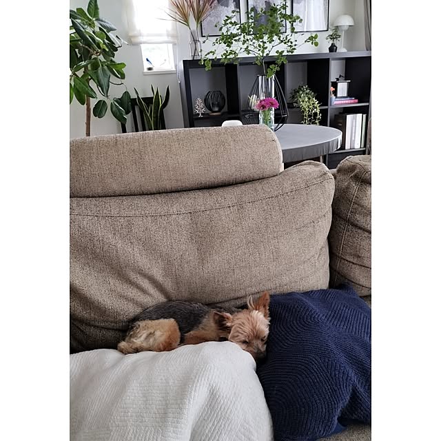 coco0.84.さんの部屋