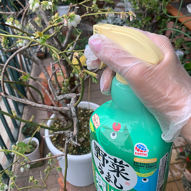 Aqettyさんの実例写真