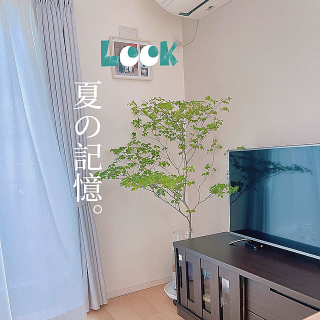 shishihararenkaさんの実例写真