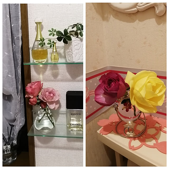 yuuandkoroさんの実例写真