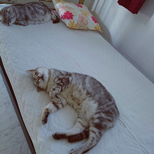 machikomamaさんの実例写真