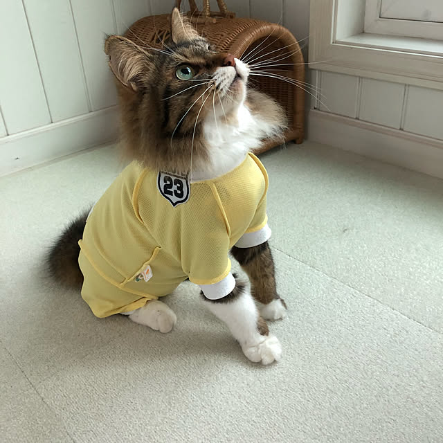 yuchiさんの実例写真