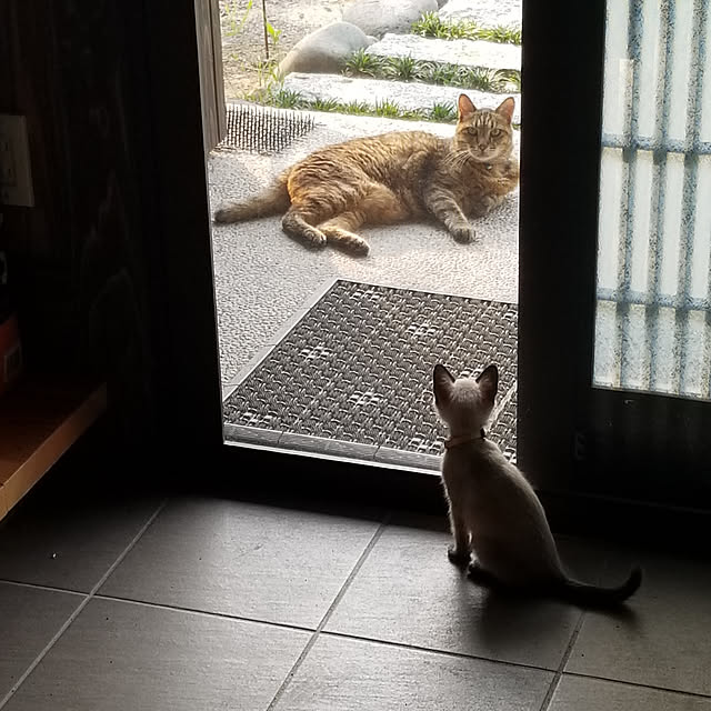 chiibou5223さんの実例写真