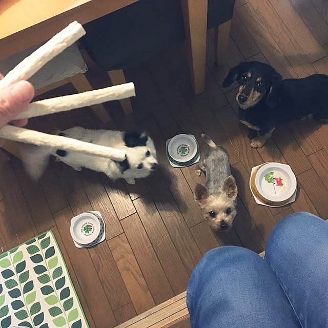 ohanaさんの実例写真