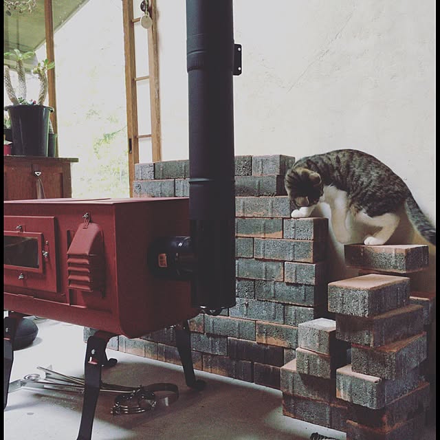 mayunjyoさんの実例写真