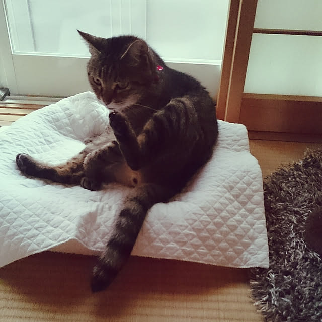 lilyさんの実例写真