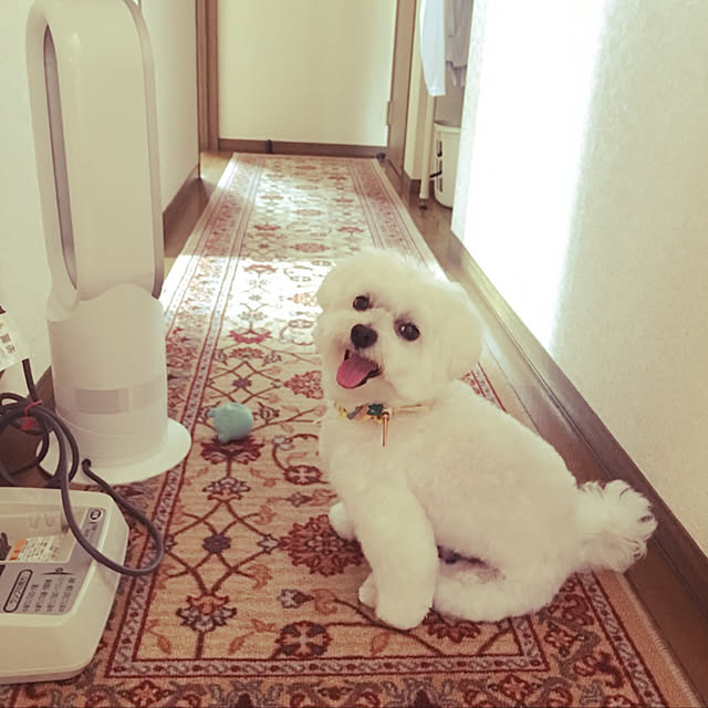 MARIRINさんの実例写真