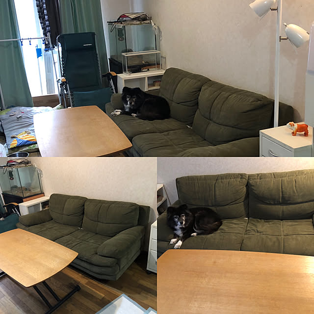 asuranさんの実例写真