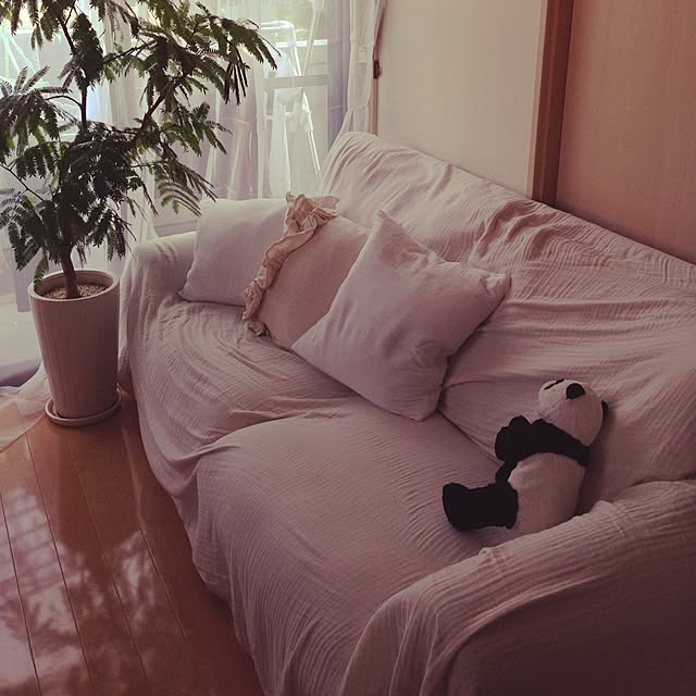 yuraaiさんの実例写真