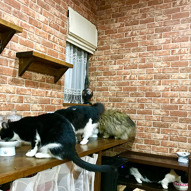 butachanさんの実例写真