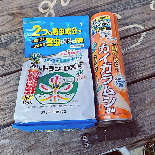 mocomocoさんの部屋