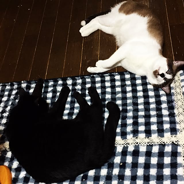 vivienne.coco-keiさんの実例写真