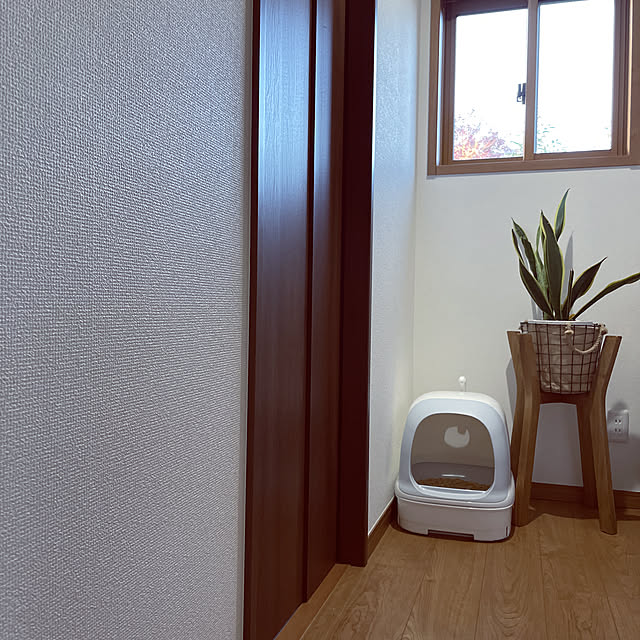 cyanさんの実例写真