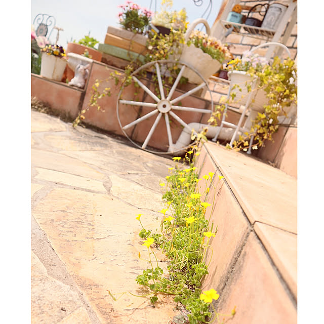 S.homeさんの実例写真