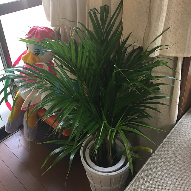 Harumiさんの実例写真