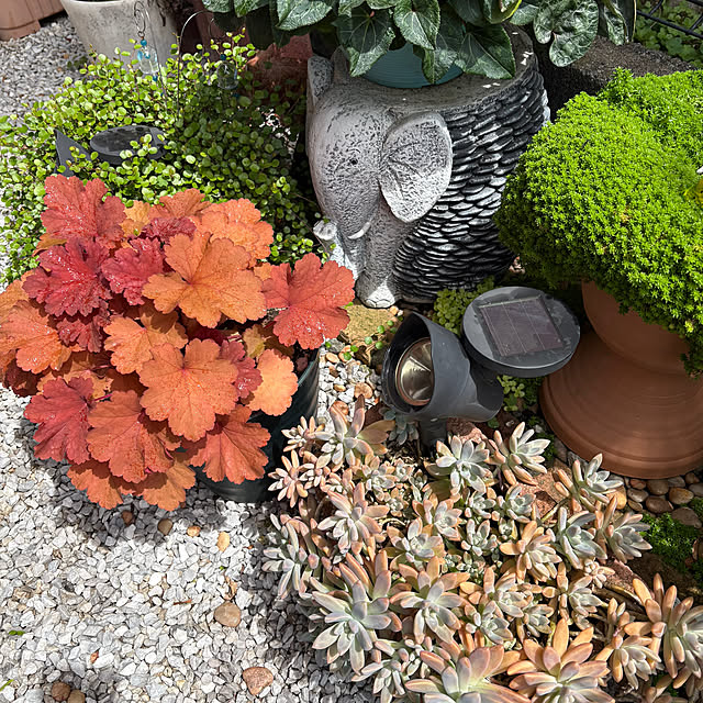 nannoさんの実例写真