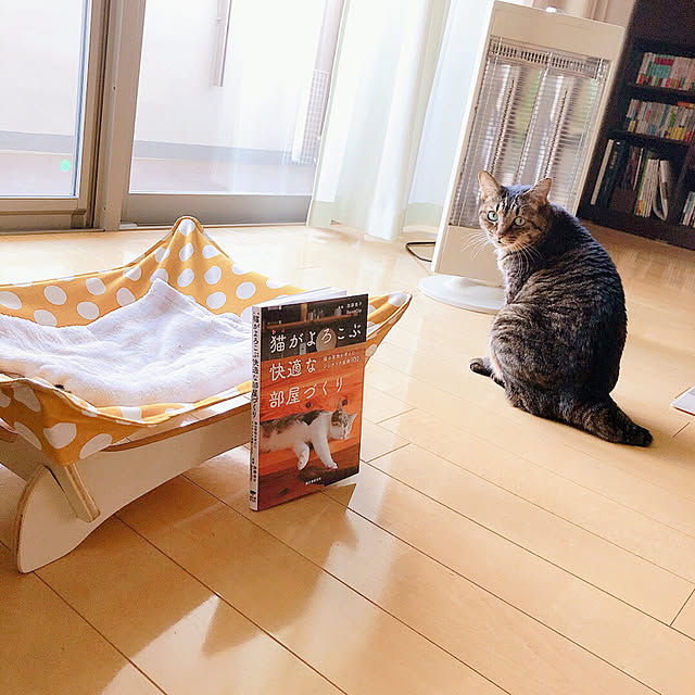 asaさんの実例写真