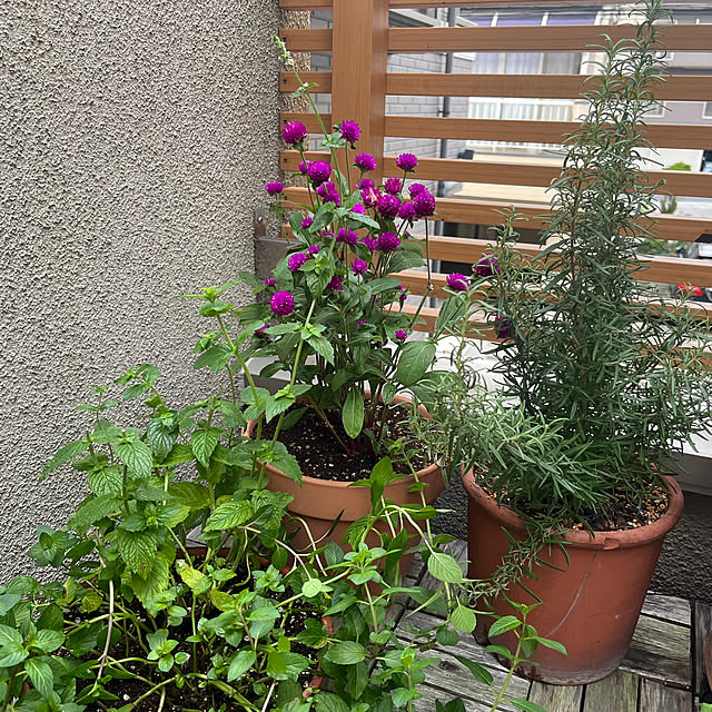 matsuさんの部屋