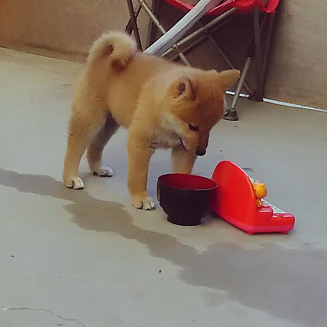 kenkenさんの実例写真