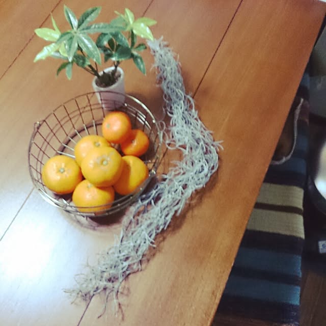 mikaさんの実例写真