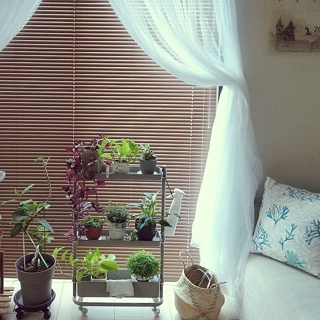 meiさんの実例写真