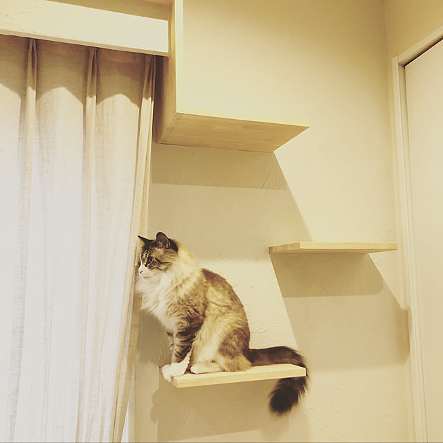 masyacanonさんの実例写真