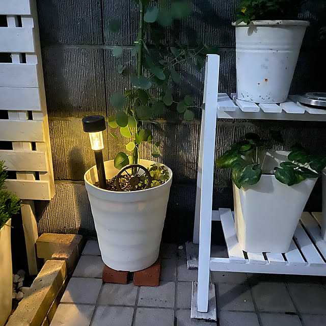 YuuKoさんの実例写真
