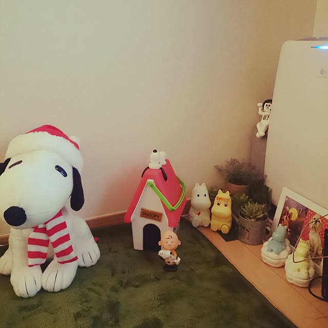 rinmarorinさんの実例写真
