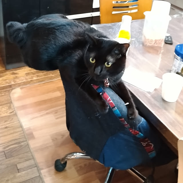Tさんの実例写真