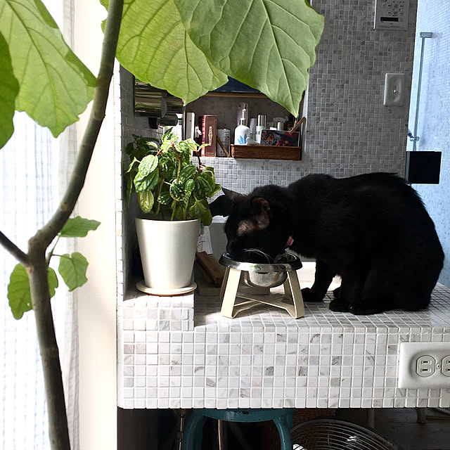 parudoxさんの実例写真