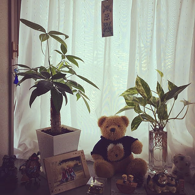 実例写真