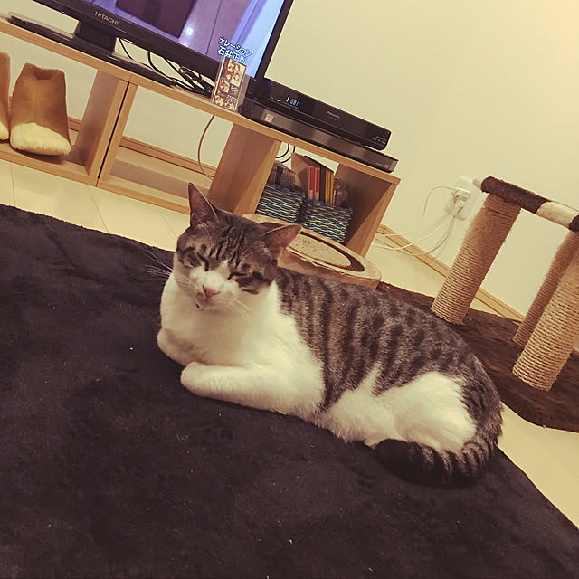 nomu2さんの実例写真