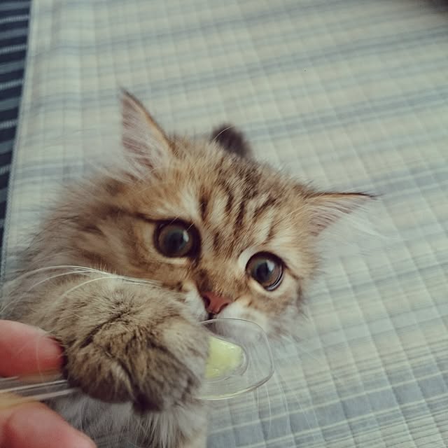 hanaさんの実例写真