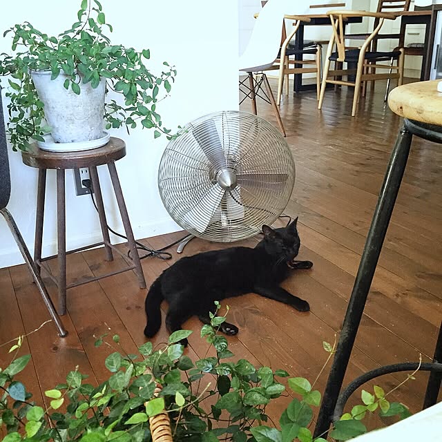 coconana165さんの実例写真