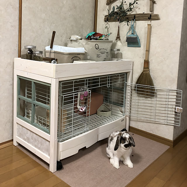 snowさんの実例写真