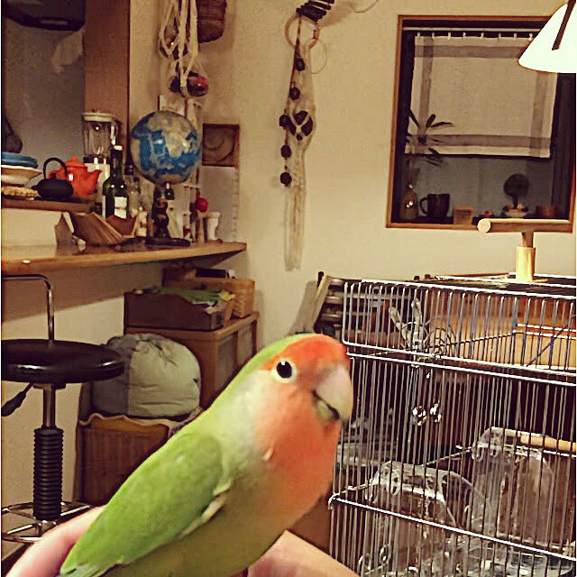 Rechanさんの実例写真
