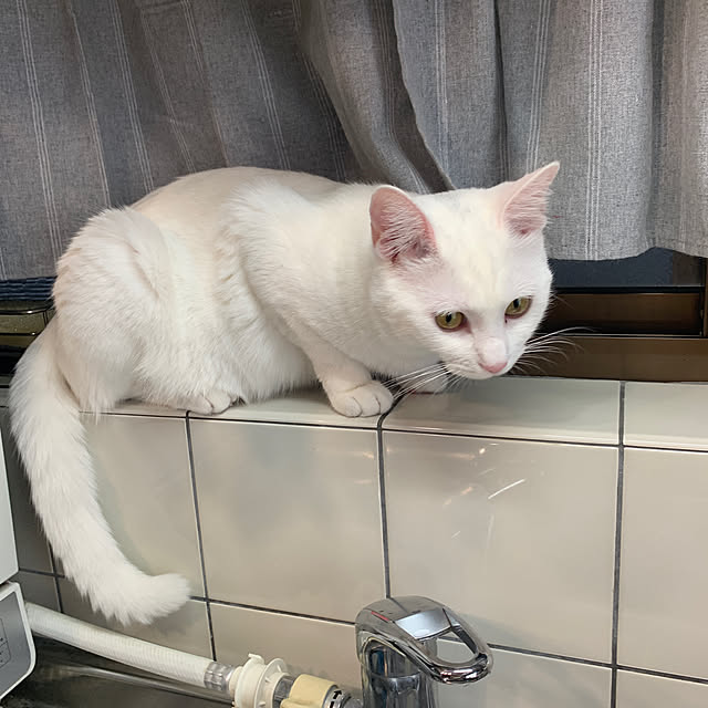 keiさんの実例写真