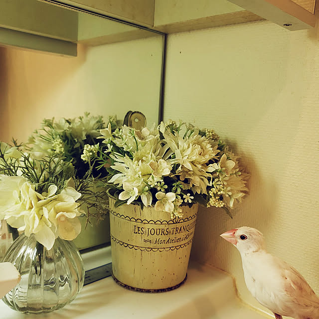 sumireさんの実例写真